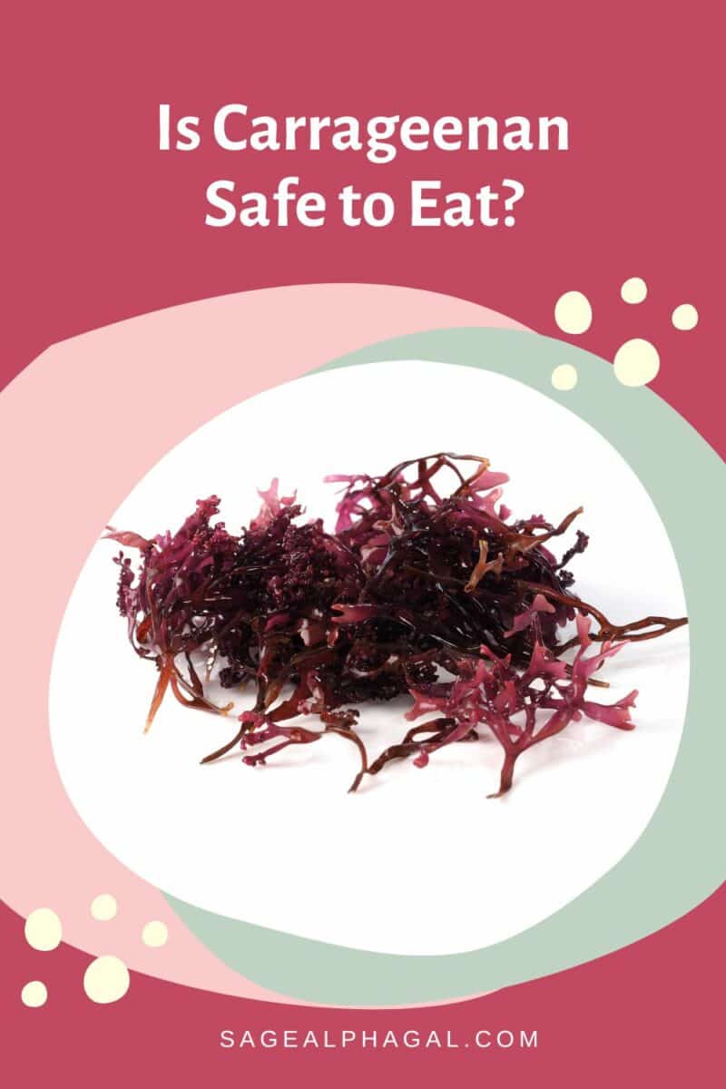 What is Carrageenan? Should Alpha Gals Avoid It?