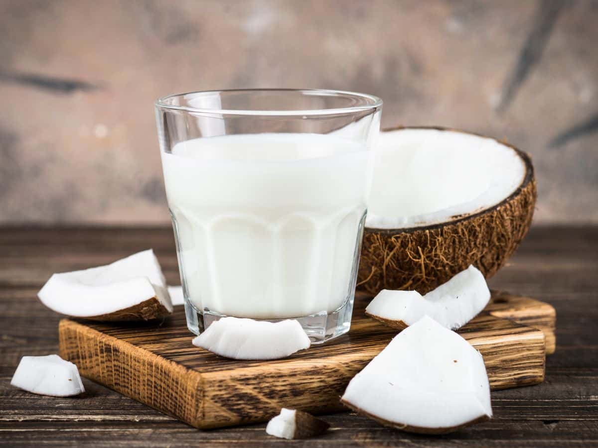 A glass of coconut milk with chunks of coconut surrounding it
