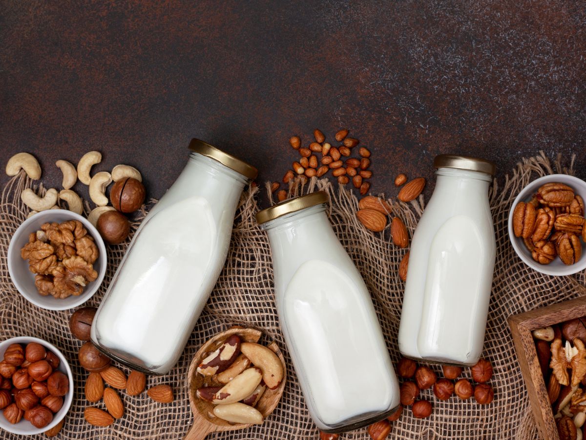 An assortment of nut milks like almond milk, cashew milk, and macadamia milk