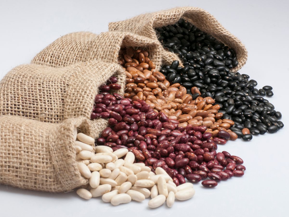 Bags of Dried Beans