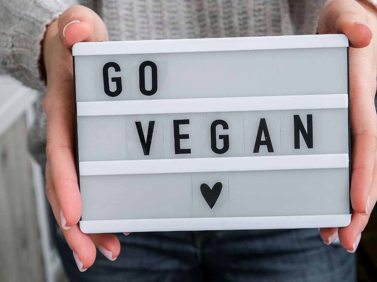 Woman holding a "go vegan" sign