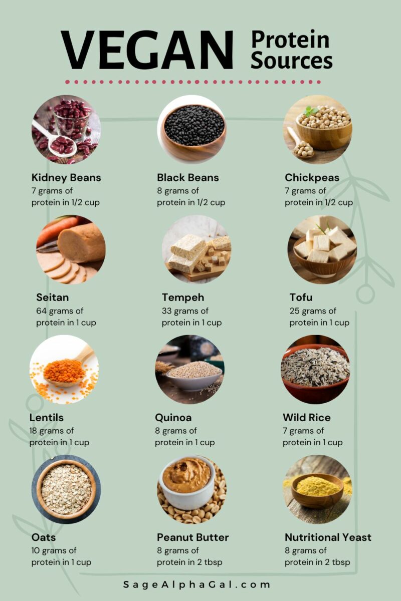 Vegan protein sources infographic.