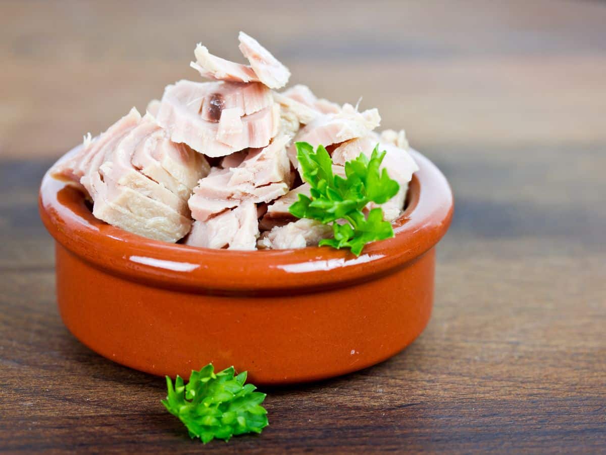 Bowl of Canned Tuna