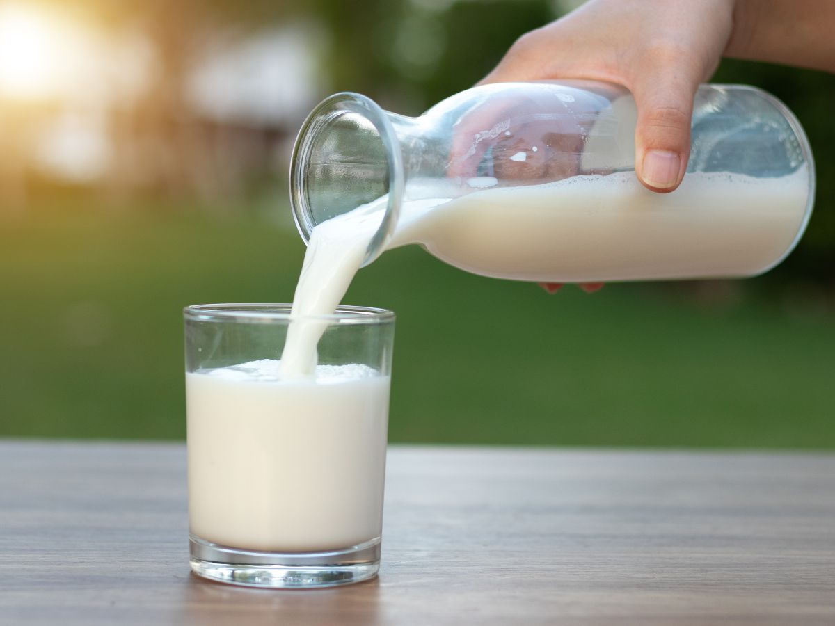 Person Pouring a Glass of Milk