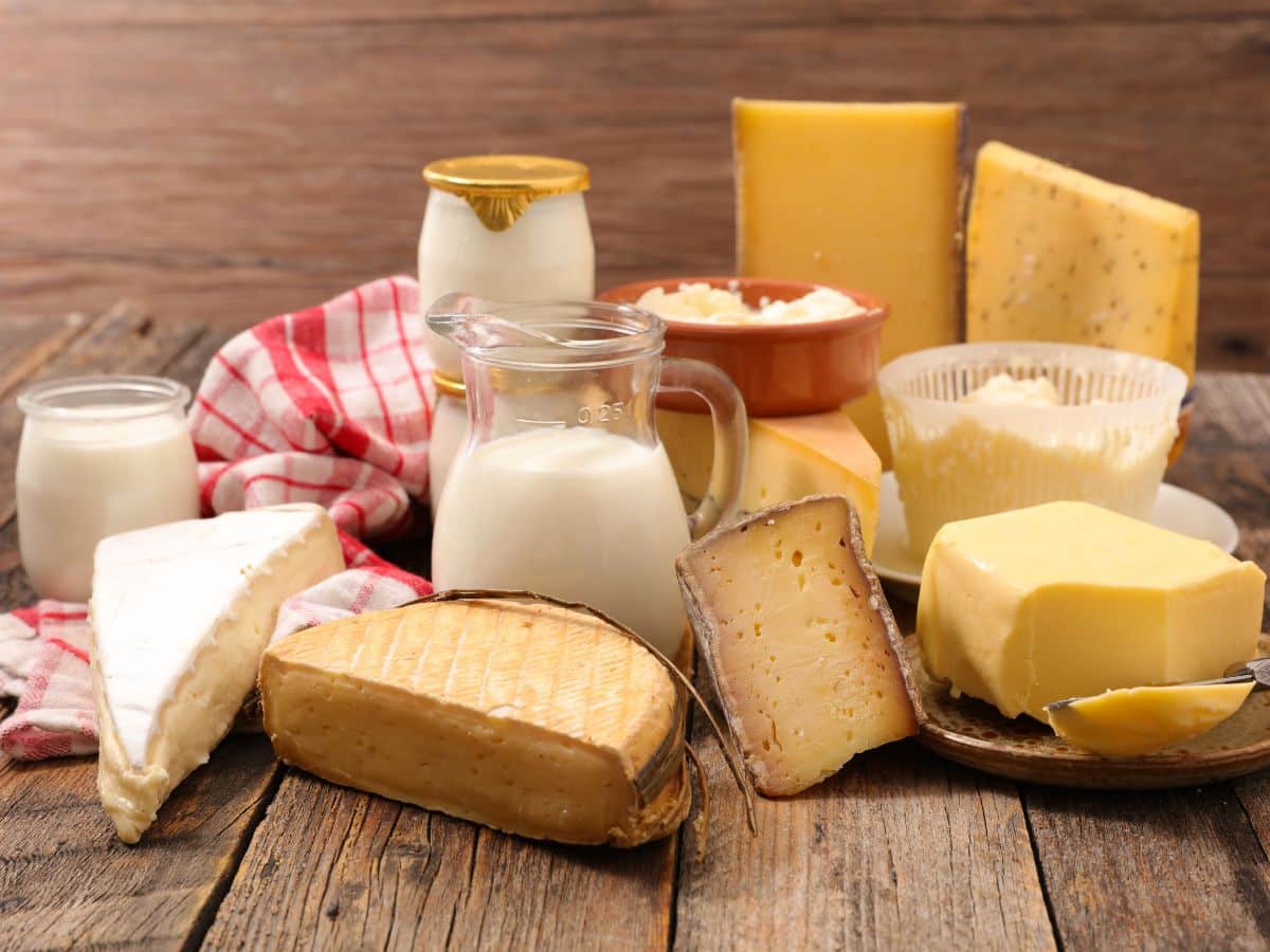 Assortment of Dairy Products Including Cheese, Milk, and Yogurt
