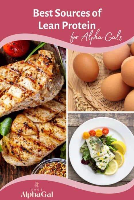 Best Sources of Protein for Alpha Gals