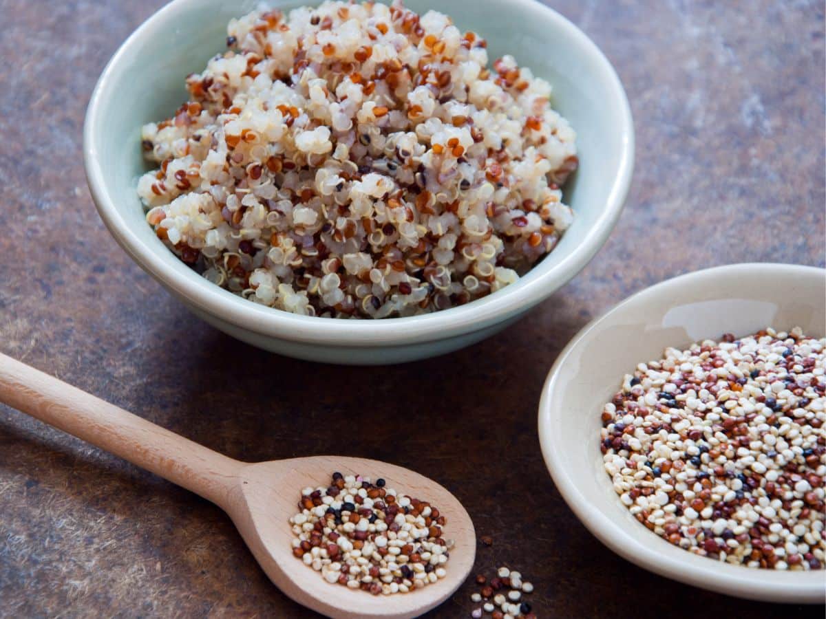 Spoon and Bowls of Quinoa both Cooked and Uncooked