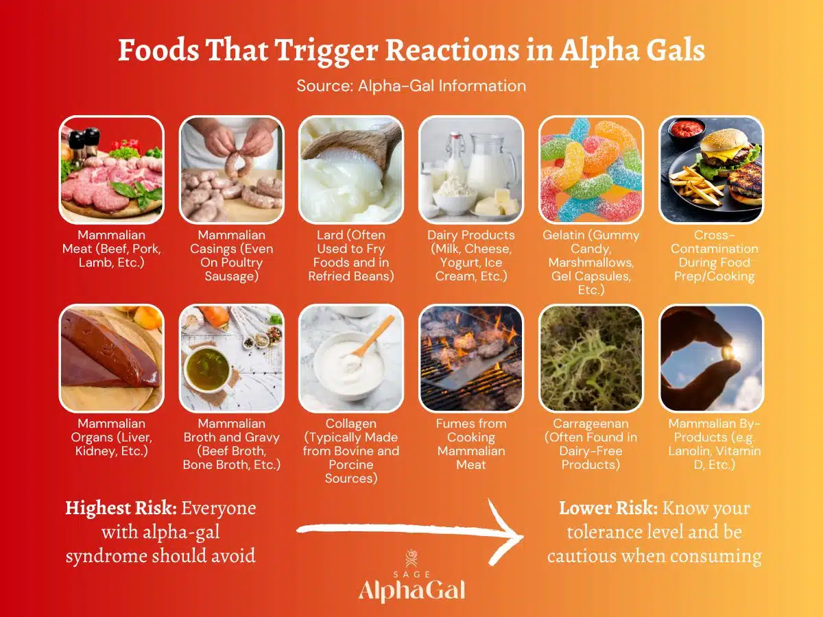 Foods That Trigger Reactions in Alpha Gals