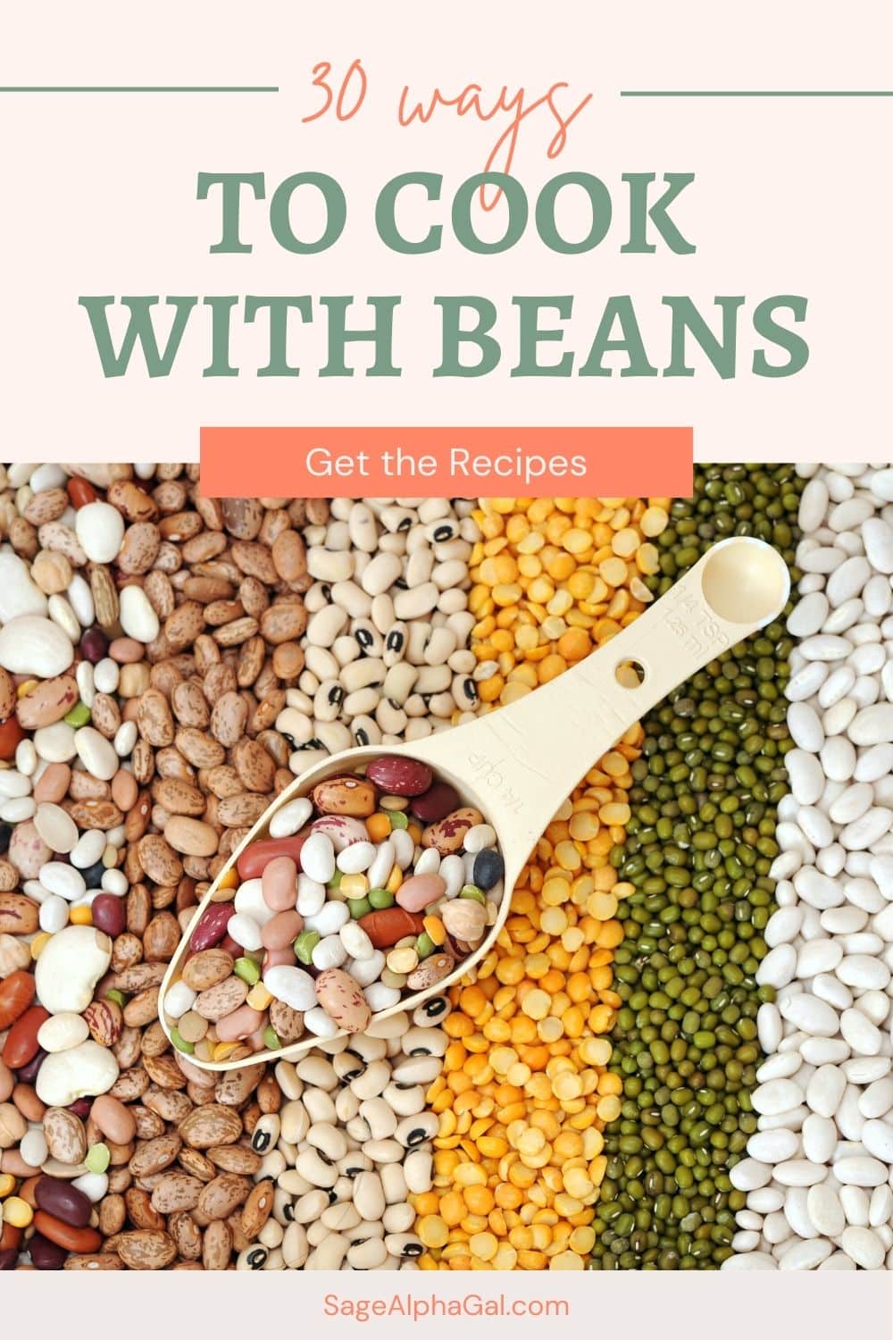 Best Beans For Protein Pin 1 JPG 