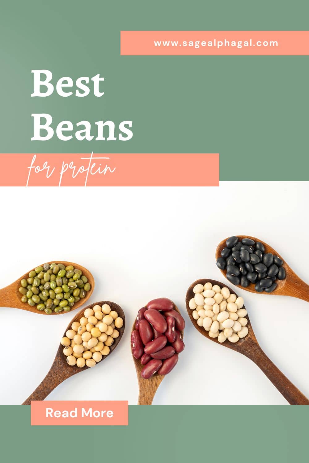 Best Beans For Protein Pin 5 JPG 