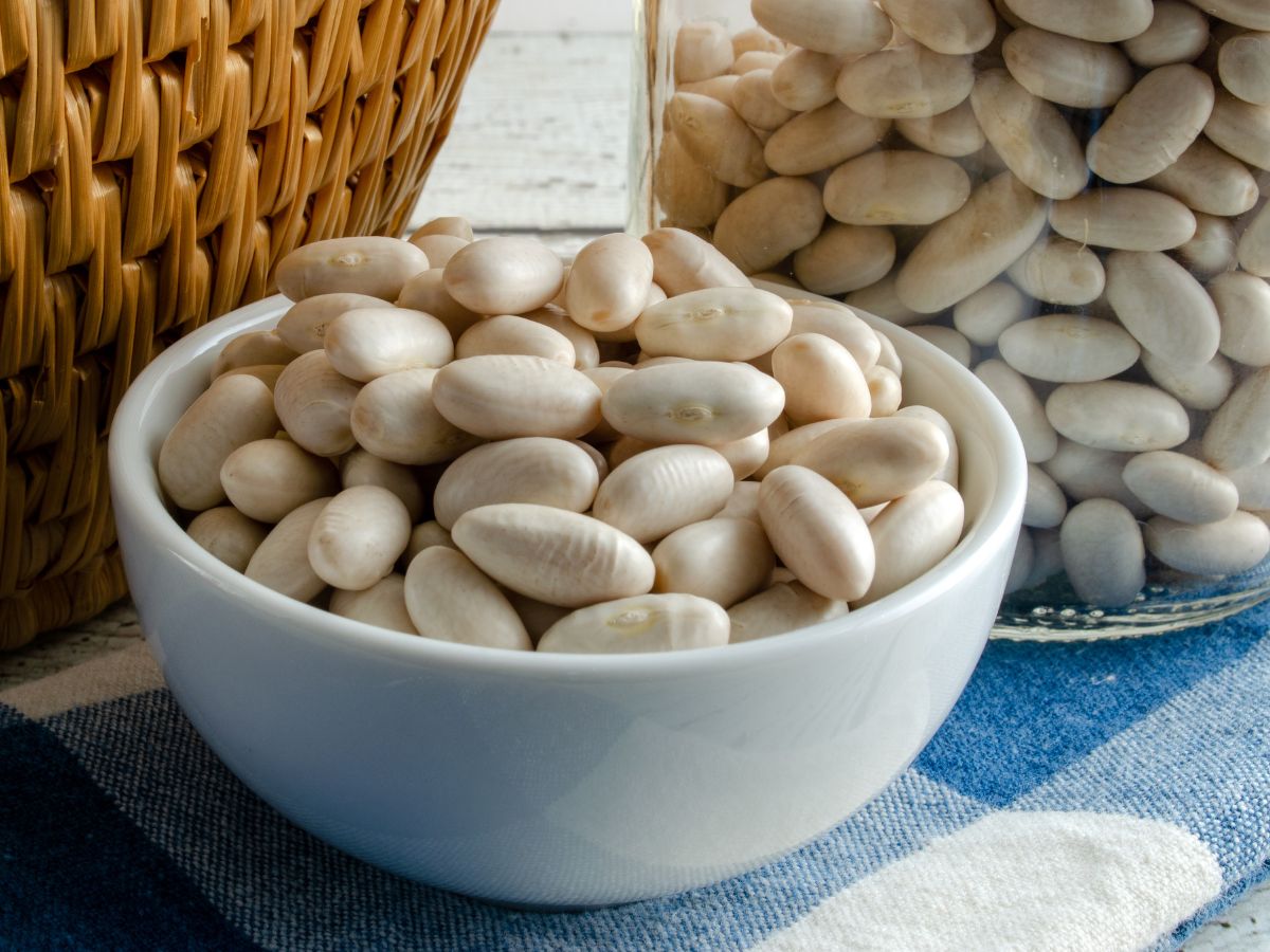 A white bowl of dried cannellini beans