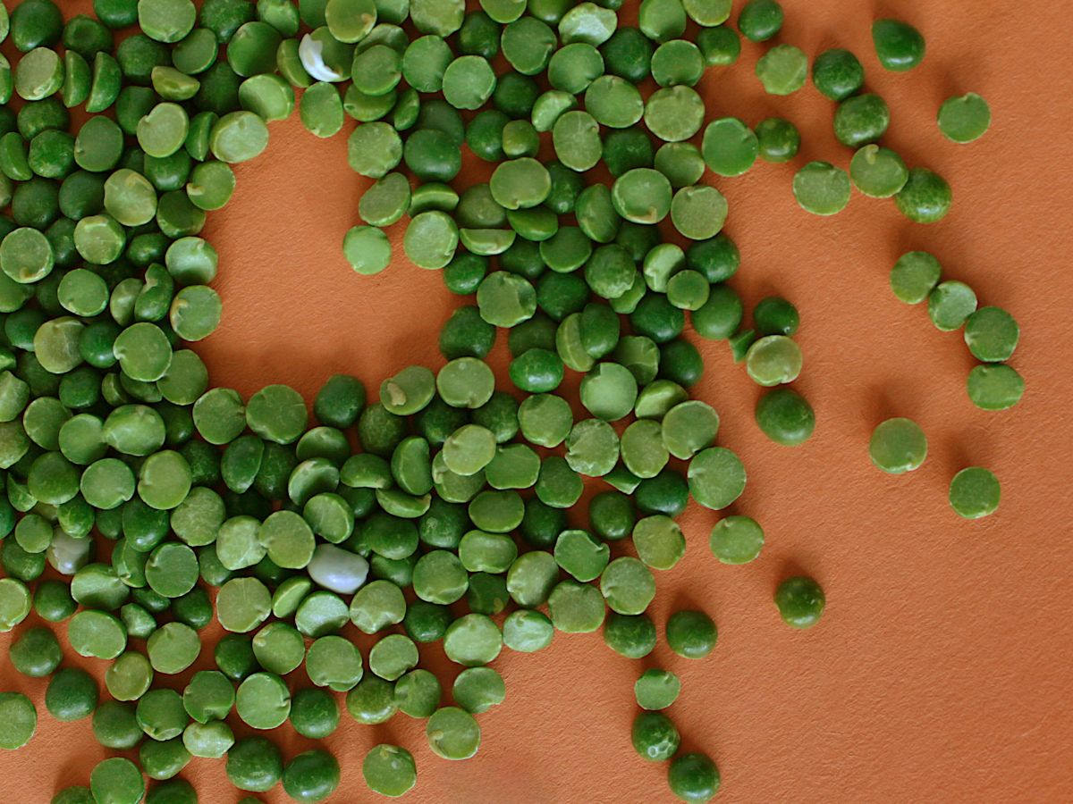 Green split peas arranged in a circle on an orange background
