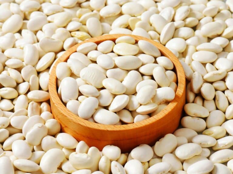 Lima Beans Canva 768x576 