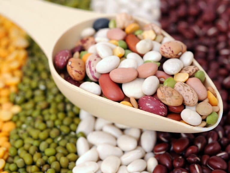Spoon Of Assorted Dried Beans Canva 768x576 