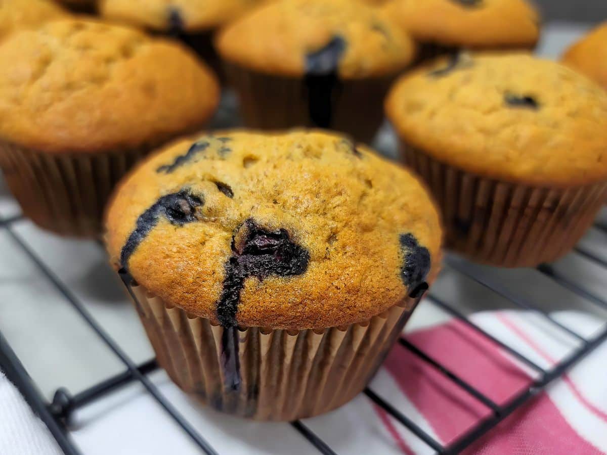 Banana Blueberry Muffins Cooling on Rack