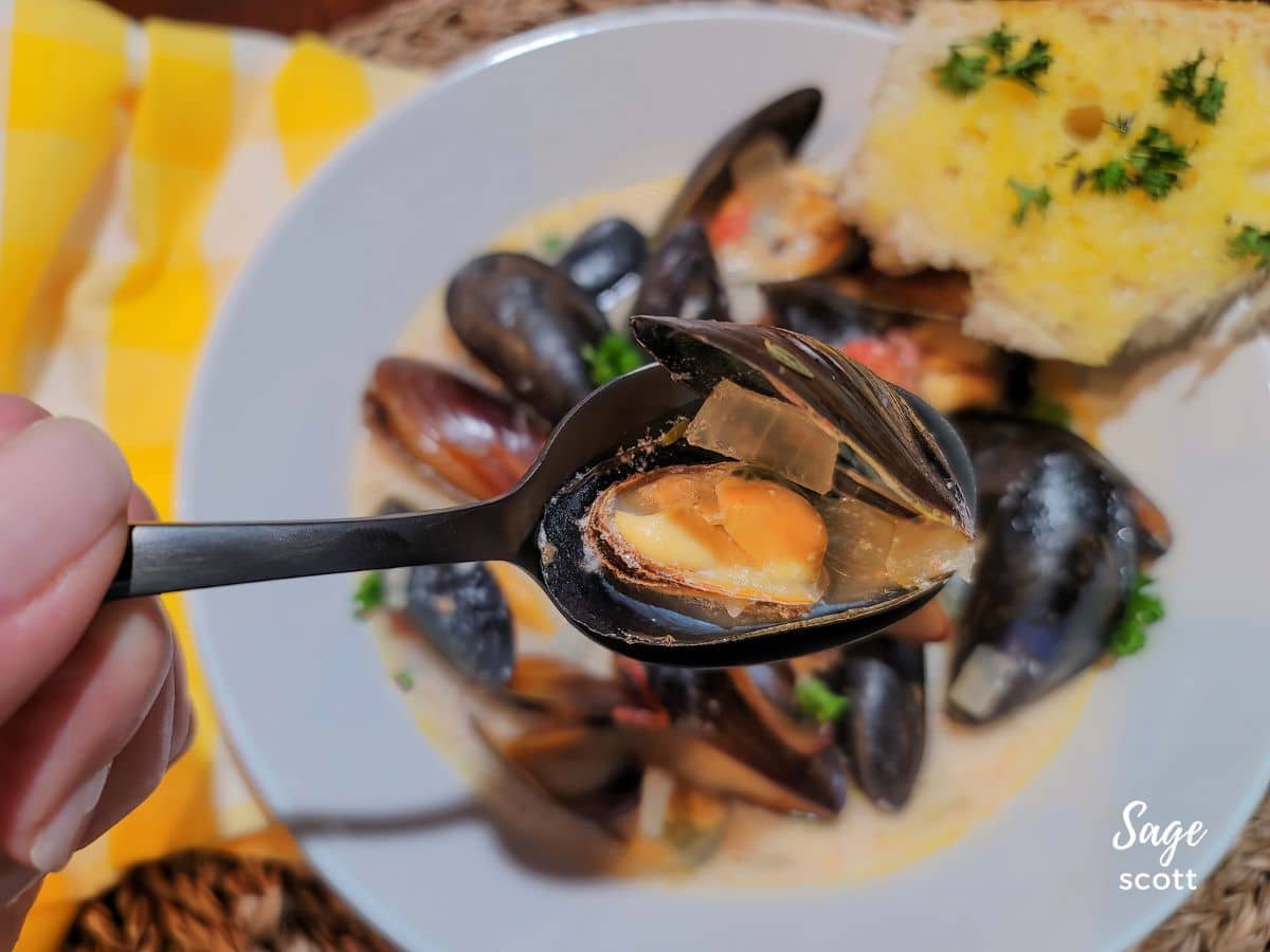 Close Up of a Steamed Mussel on a Spoon.