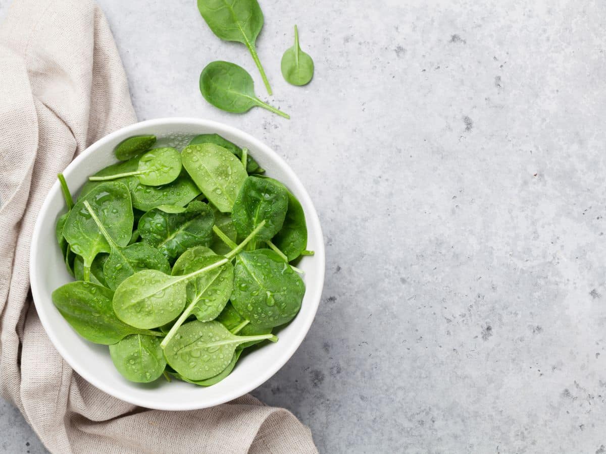 A white bowl of baby spinach on a grey countertop.