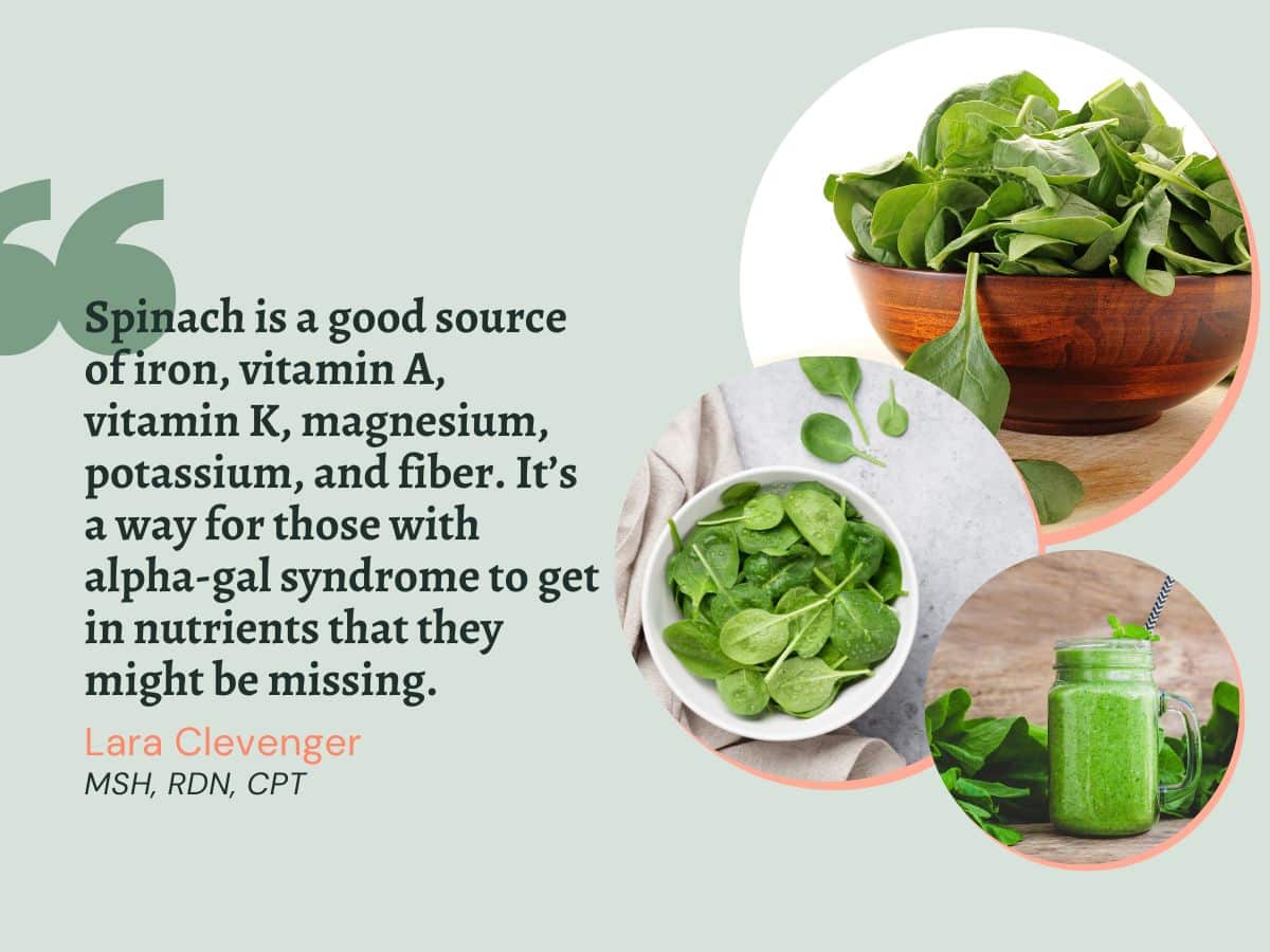 Spinach is a good source of iron, vitamin A, vitamin K, magnesium, potassium, and fiber.