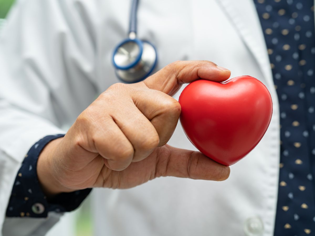 Doctor Holding Up Heart