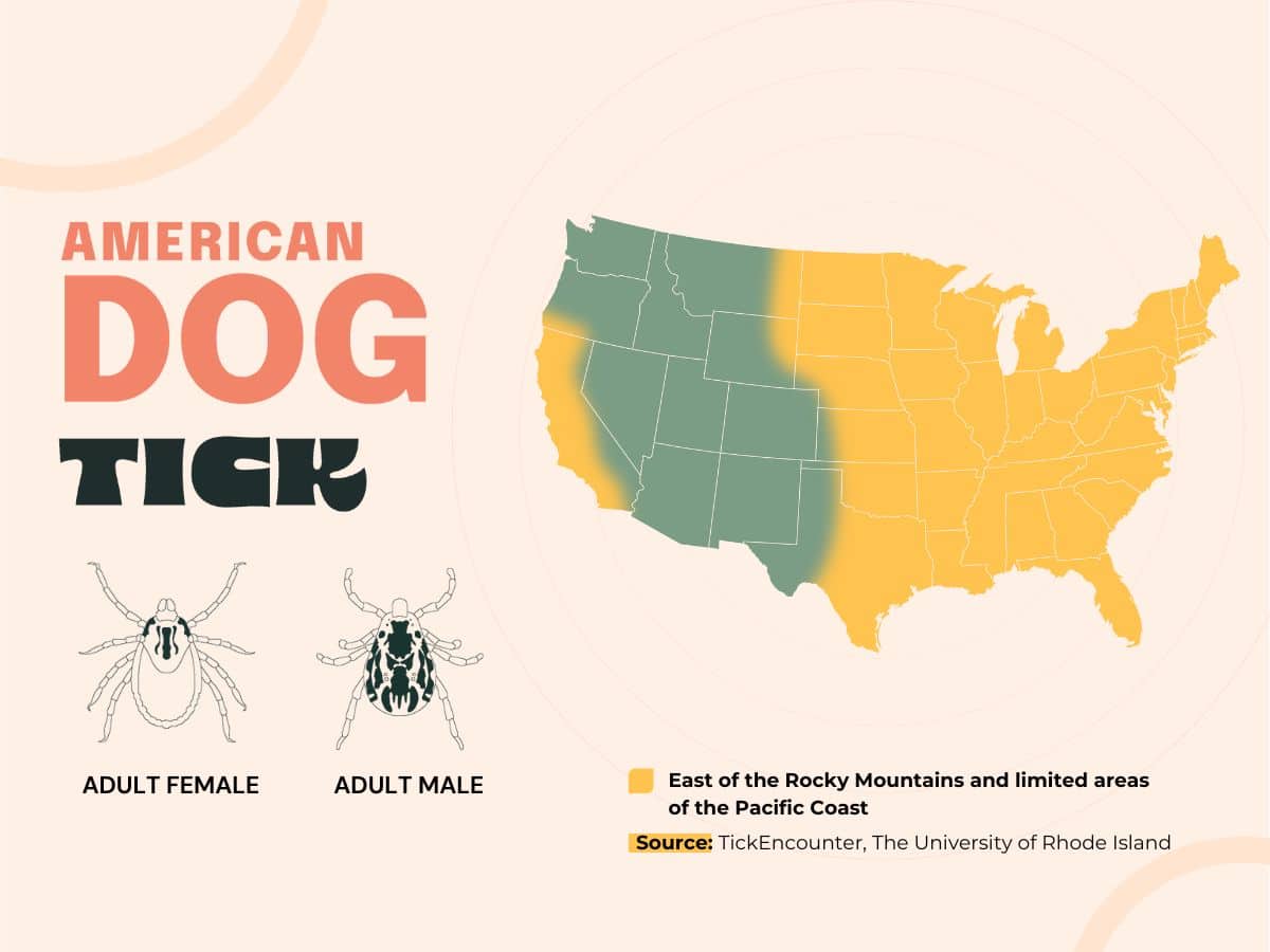 A map showing the range of the American dog tick.