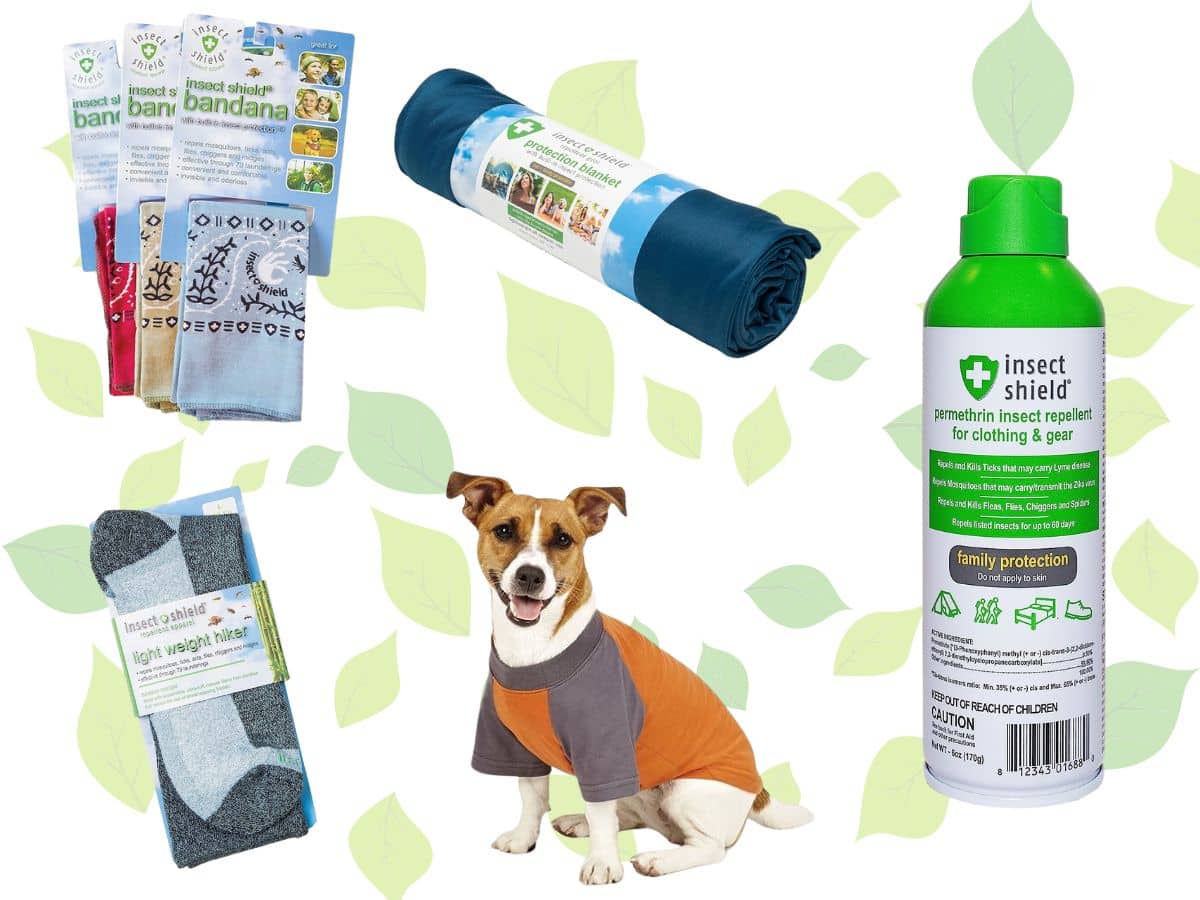 An assortment of Insect Shield products designed to protect you and your pets from tick bites