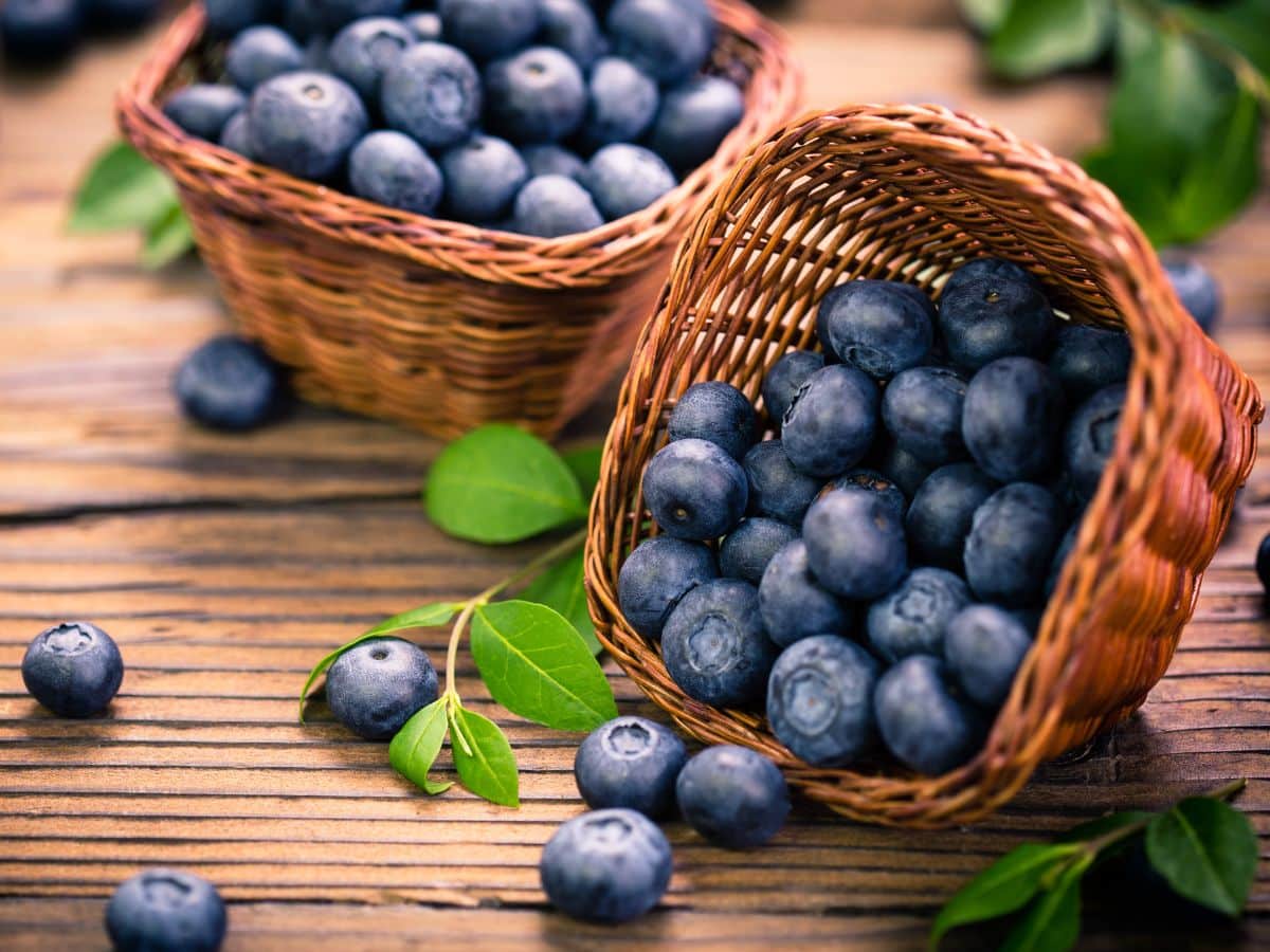 A basket of fresh blueberries on a wooden table