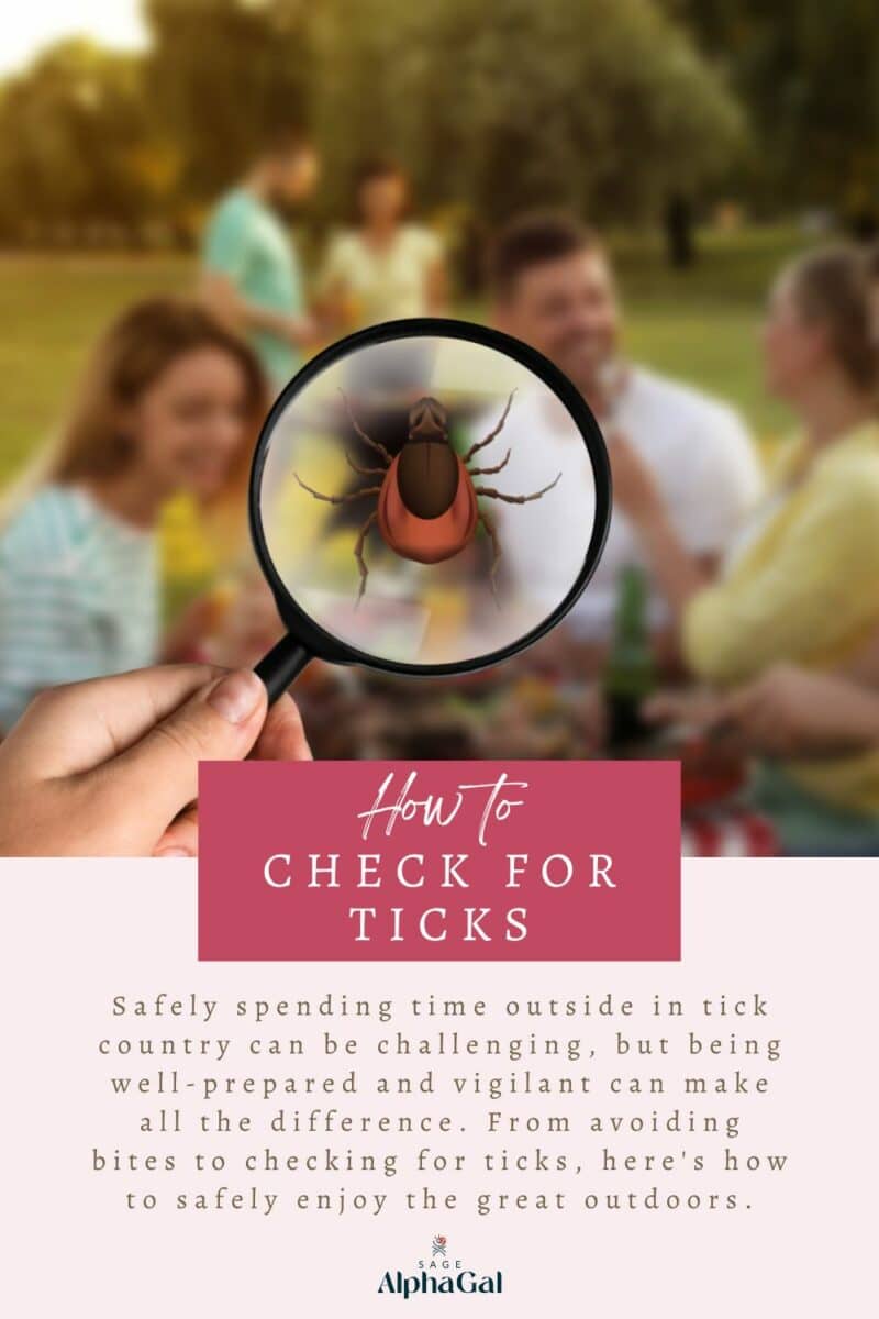 A poster with a group of smiling people blurred in the background, focusing on a tick under a magnifying glass, titled "how to check for ticks" to promote safe outdoor activities.