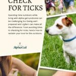 Informative poster on tick prevention for outdoor activities, featuring a family hiking, a dog in grass, and a close-up of a tick on skin.