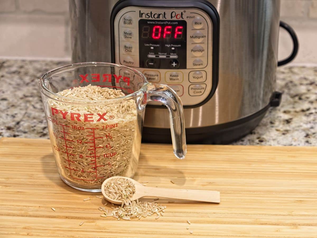 Instant Pot with Rice