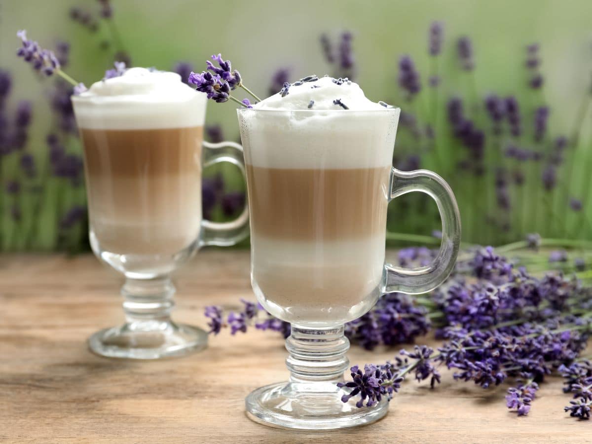 Two lavender lattes in glass cups with lavender flowers in the background