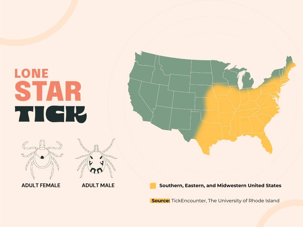 A map showing the range of the lone star tick in the United States.