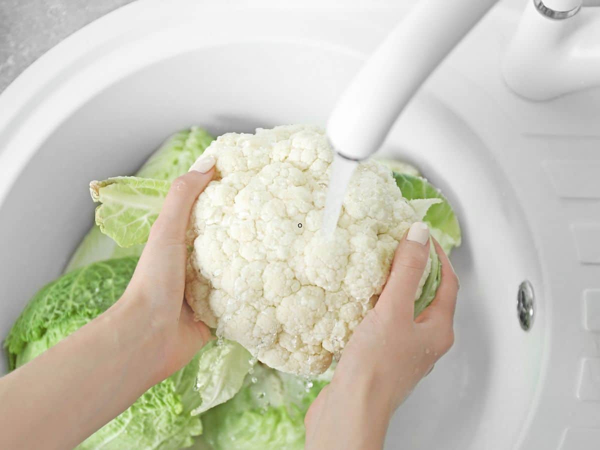 A person washing a head of cauliflower in a white sink.