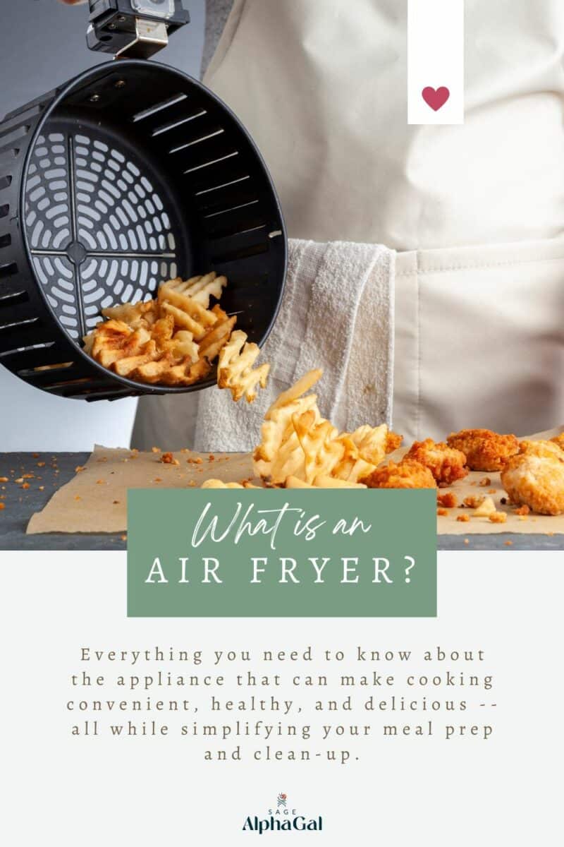 How to Clean Your Air Fryer  Help Around the Kitchen : Food