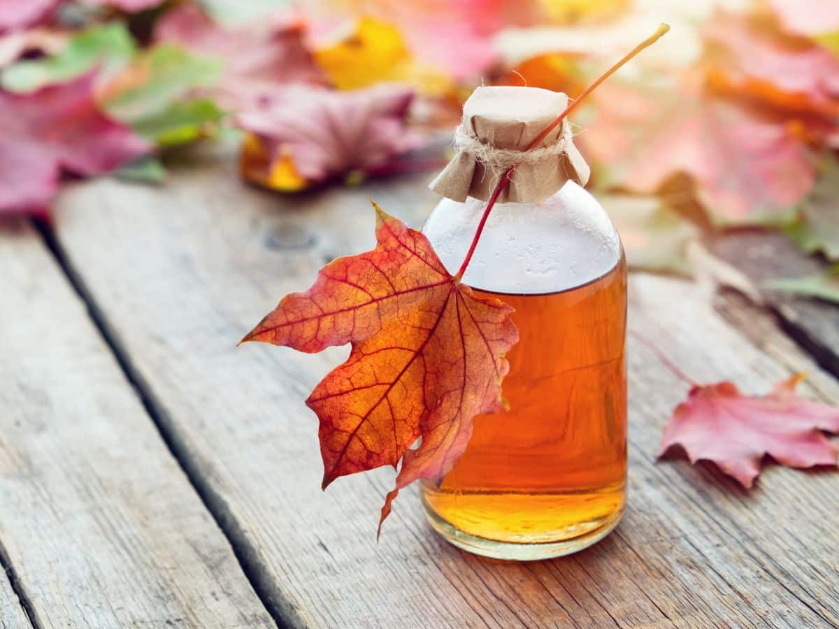 Maple syrup in a bottle on a wooden table surrounded with maple leaves.