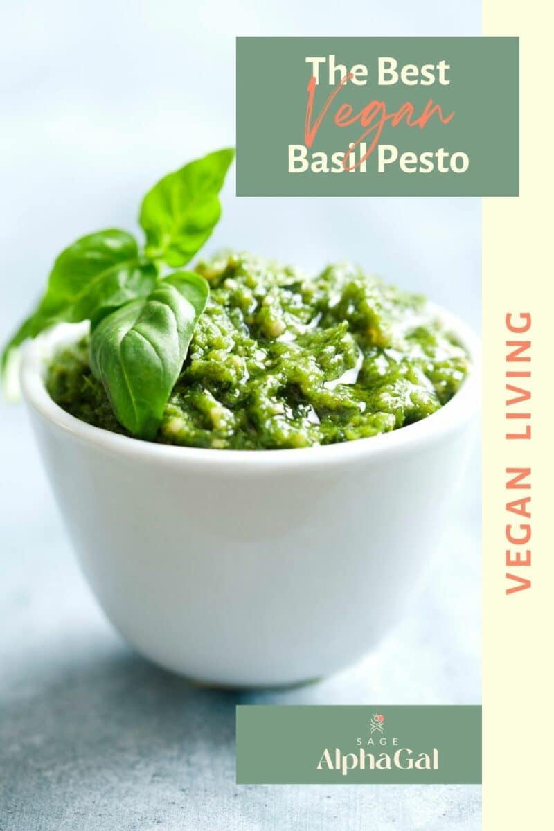 The best vegan basil pesto living.