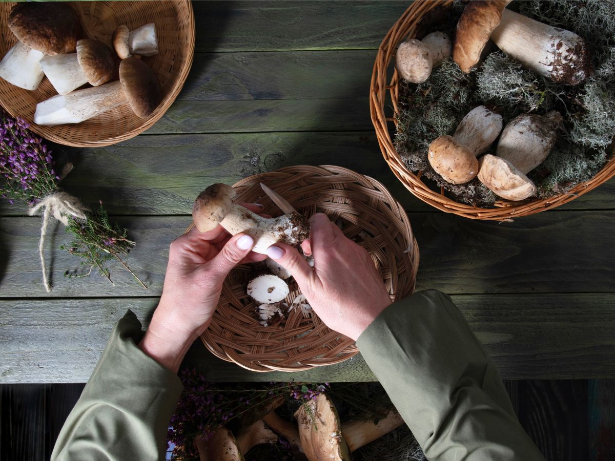Flawless Fungi: How to Properly Clean Mushrooms for Cooking