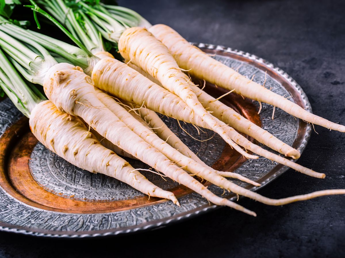 White parsnips on a plate on a dark background.