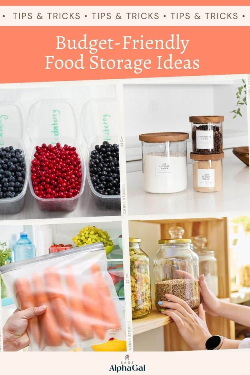 Cheap Food Storage Container Ideas