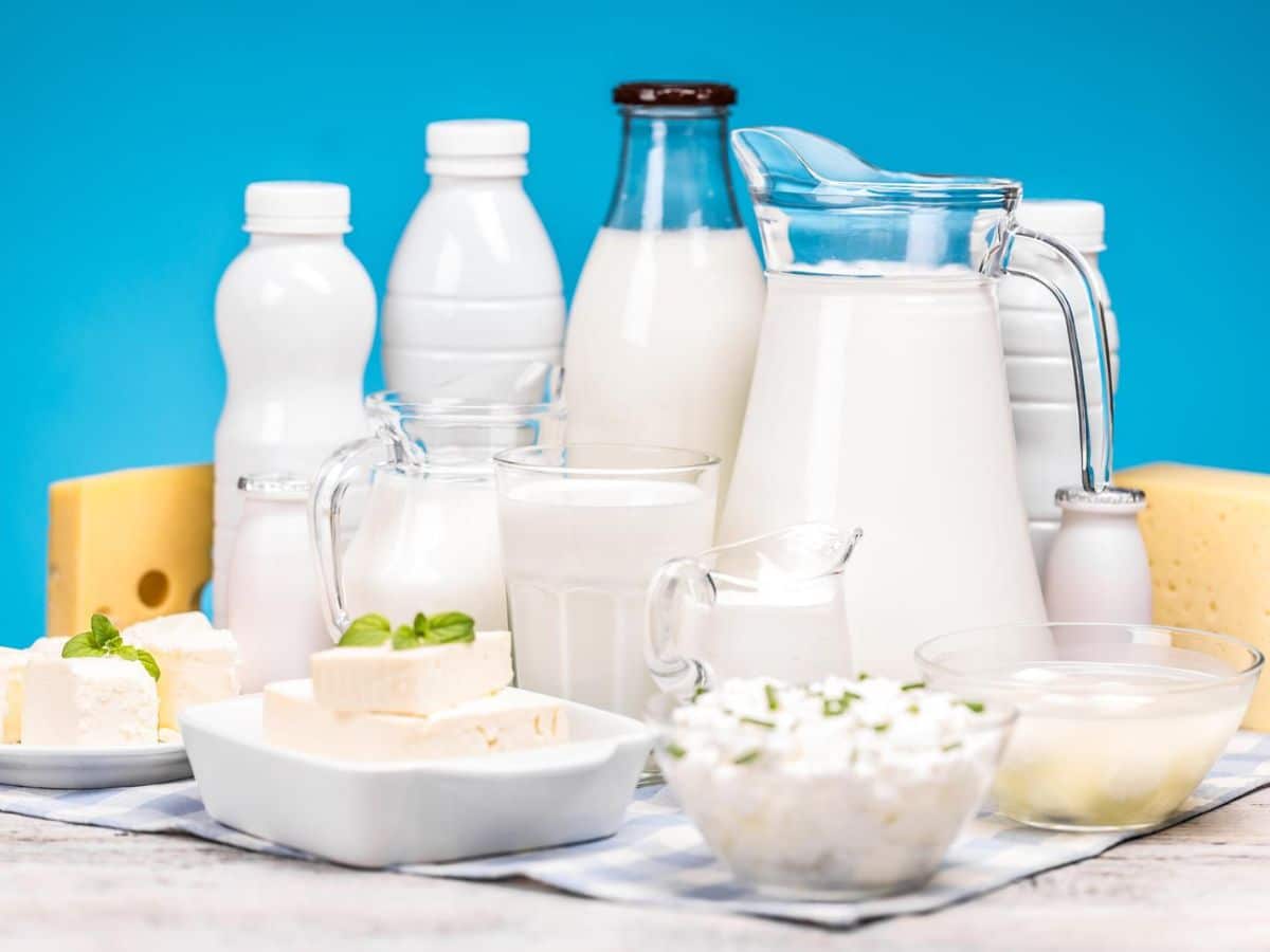 Milk, cheese and other dairy products on a blue background.