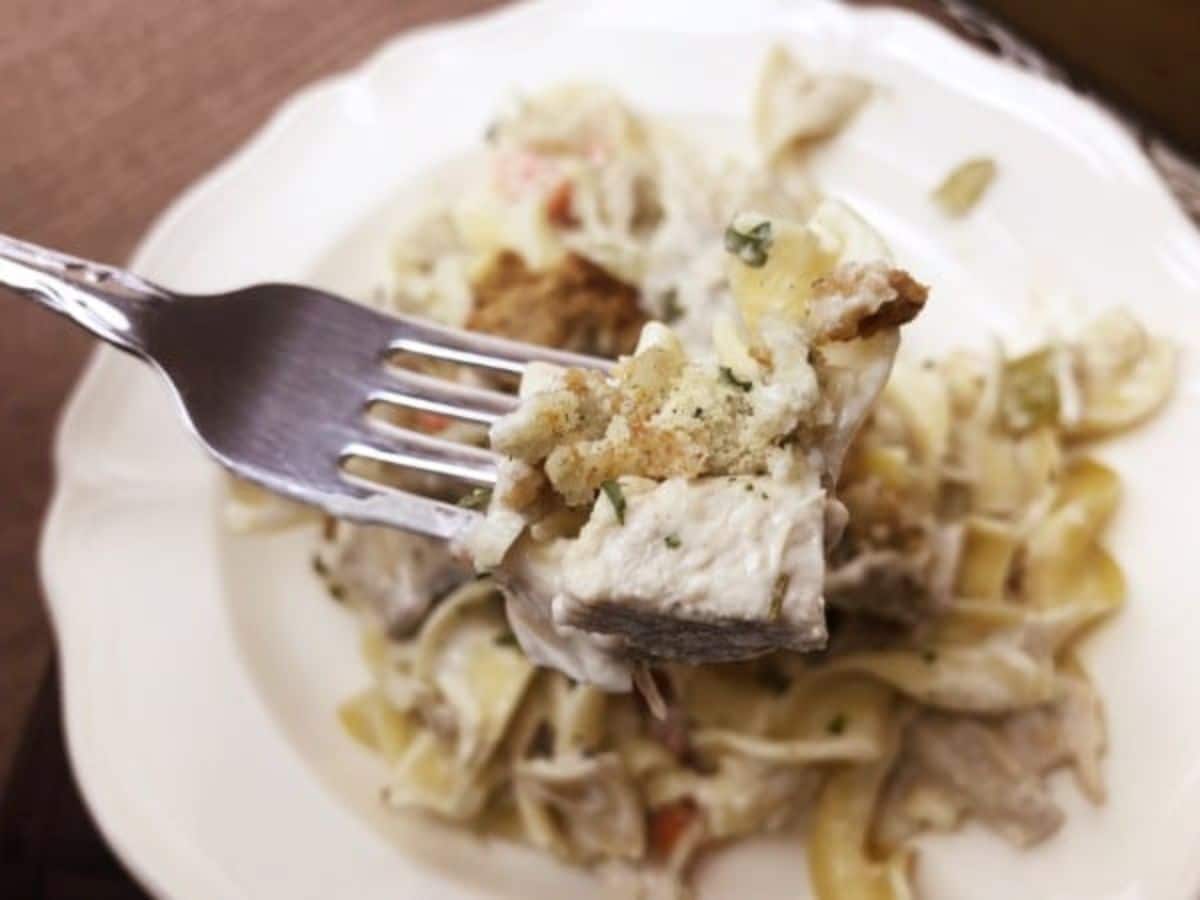 A fork is holding a bite of turkey noodle casserole on a white plate.