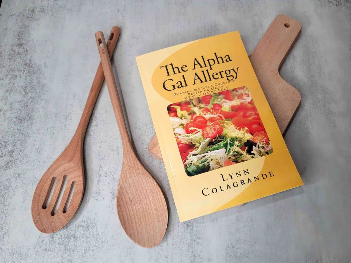 A copy of The Alpha Gal Allergy cookbook on a gray kitchen countertop.