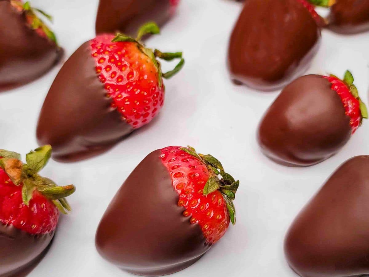 Rows of chocolate covered strawberries on a white surface.