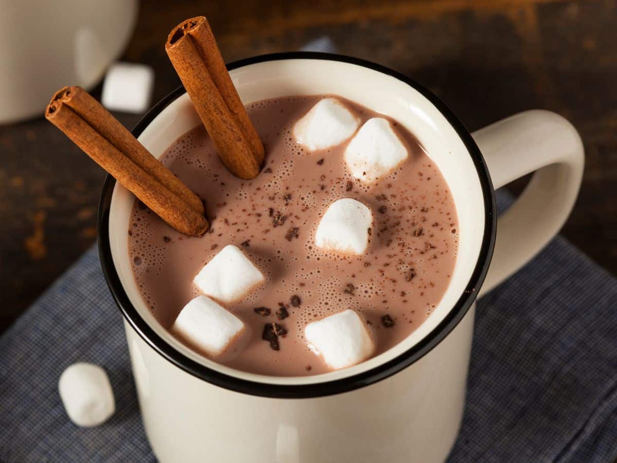 A cup of hot chocolate adorned with cinnamon sticks and marshmallows, presented beautifully in a Google web story.