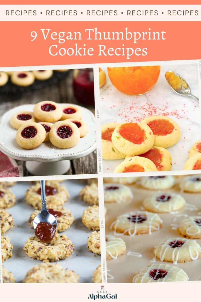 Discover 9 delicious vegan thumbprint cookie recipes.