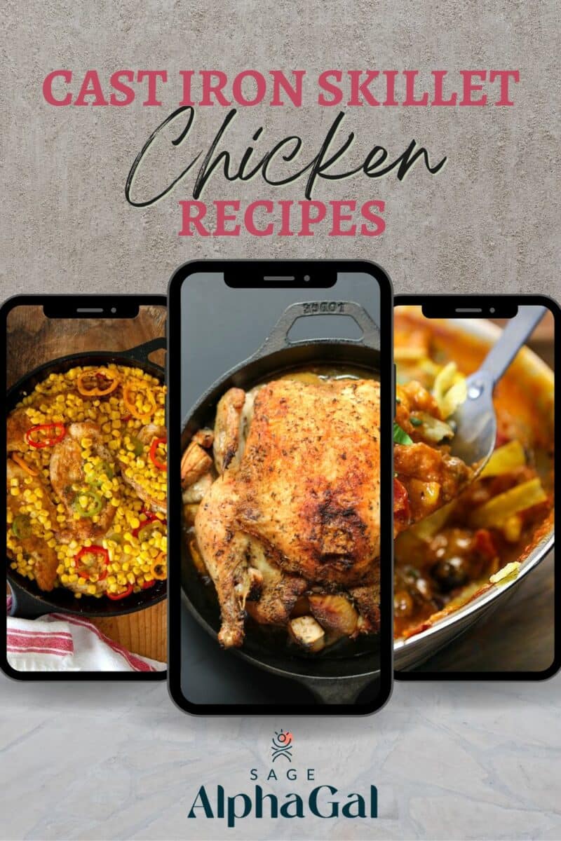 Explore delicious cast iron skillet chicken recipes with alphagal.