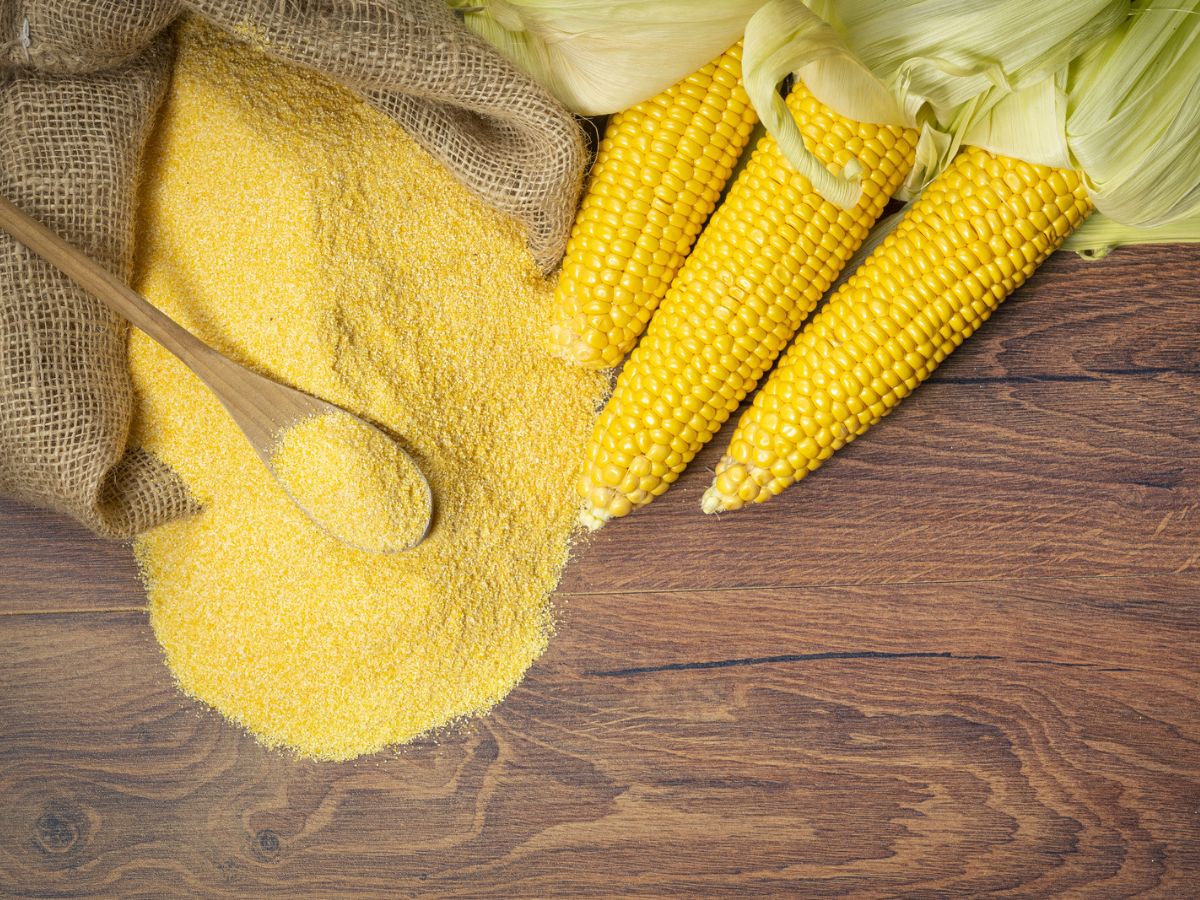 Corn cobs alongside a spilling bag of cornmeal with a wooden spoon on a wooden surface.